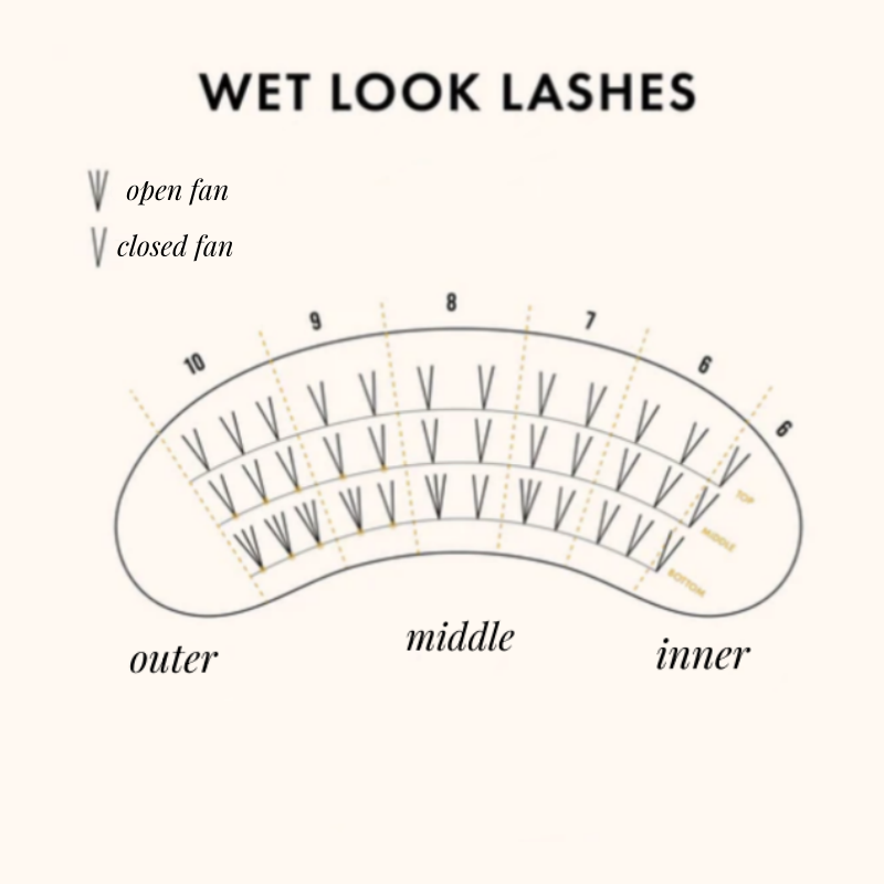 wet-lash-map.webp